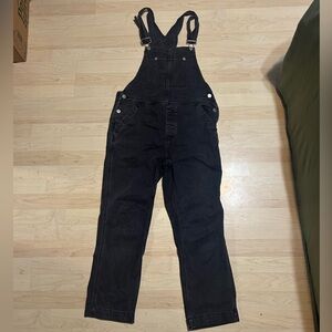 Free People x We The Free Denim Overall in Mineral Black